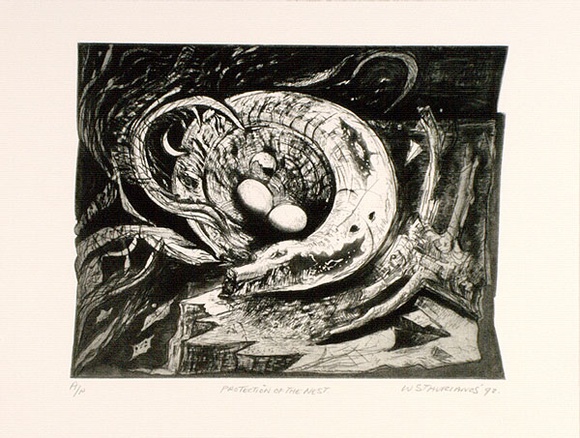 Artist: b'Stavrianos, Wendy.' | Title: b'Protection of the nest.' | Date: 1992 | Technique: b'etching, printed in black ink, from one plate' Artist: b'Stavrianos, Wendy.' | Title: b'Protection of the nest.' | Date: 1992 | Technique: b'etching, printed in black ink, from one plate'