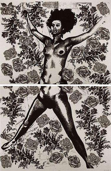 Artist: b'Walters, Kath.' | Title: b'Woman III' | Date: 1989 | Technique: b'lithograph' Artist: b'Walters, Kath.' | Title: b'Woman III' | Date: 1989 | Technique: b'lithograph'