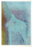 Artist: b'WICKS, Arthur' | Title: b'Giraffe I' | Date: 1973 | Technique: b'screenprint'