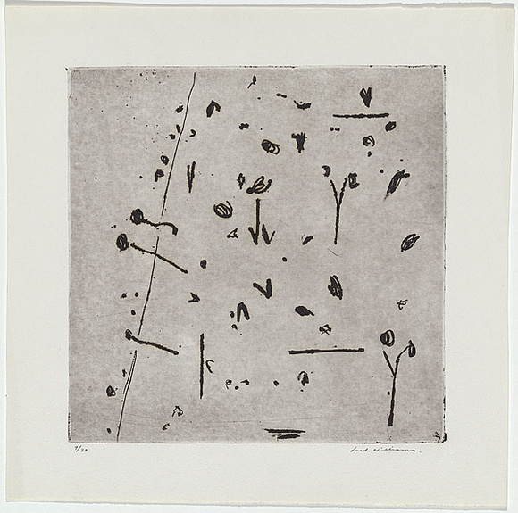 Artist: WILLIAMS, Fred | Title: Hillside number 2. | Date: 1965-66 | Technique: etching, flat biting, drypoint and mezzotint rocker, printed in black ink, from one zinc plate | Copyright: © Fred Williams Estate