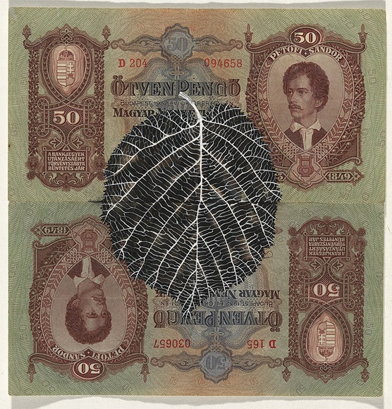 Artist: b'HALL, Fiona' | Title: b'Corylus avellana - Hazelnut (Hungarian currency)' | Date: 2000 - 2002 | Technique: b'gouache' | Copyright: b'\xc2\xa9 Fiona Hall' Artist: b'HALL, Fiona' | Title: b'Corylus avellana - Hazelnut (Hungarian currency)' | Date: 2000 - 2002 | Technique: b'gouache' | Copyright: b'\xc2\xa9 Fiona Hall'