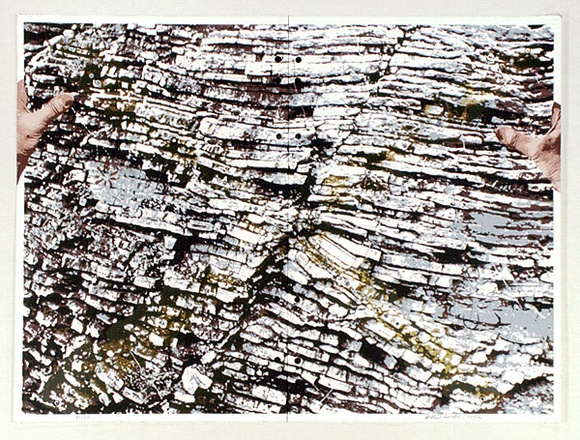 Artist: b'WICKS, Arthur' | Title: b'Landscape plan' | Date: 1982 | Technique: b'screenprint, printed in colour, from multiple stencils' Artist: b'WICKS, Arthur' | Title: b'Landscape plan' | Date: 1982 | Technique: b'screenprint, printed in colour, from multiple stencils'