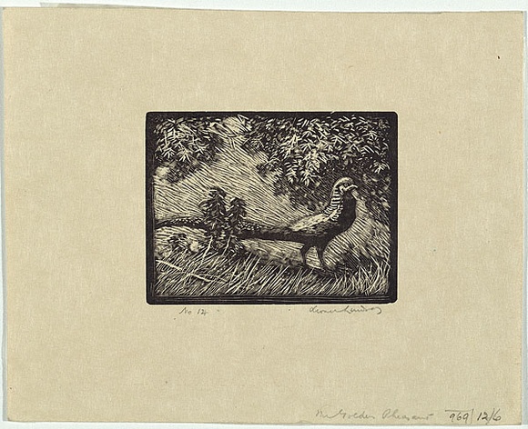 Artist: b'LINDSAY, Lionel' | Title: b'The Golden Pheasant' | Date: 1922 | Technique: b'wood-engraving, printed in black ink, from one block' | Copyright: b'Courtesy of the National Library of Australia' Artist: b'LINDSAY, Lionel' | Title: b'The Golden Pheasant' | Date: 1922 | Technique: b'wood-engraving, printed in black ink, from one block' | Copyright: b'Courtesy of the National Library of Australia'
