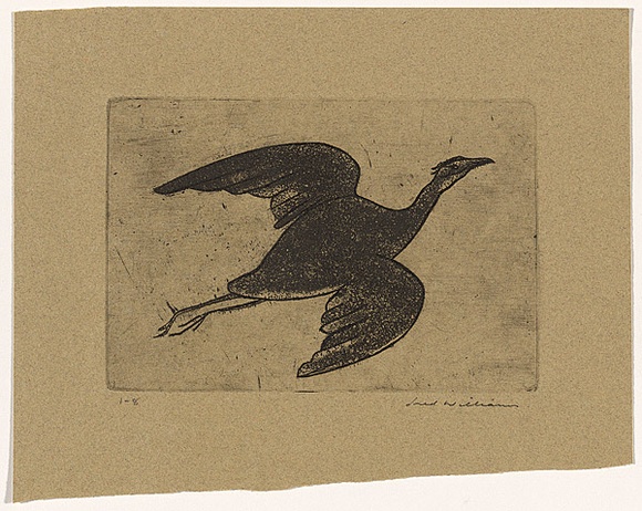 Artist: b'WILLIAMS, Fred' | Title: b'Night heron' | Date: 1962 | Technique: b'etching, aquatint and engraving, printed in black ink, from one copper plate' | Copyright: b'\xc2\xa9 Fred Williams Estate' Artist: b'WILLIAMS, Fred' | Title: b'Night heron' | Date: 1962 | Technique: b'etching, aquatint and engraving, printed in black ink, from one copper plate' | Copyright: b'\xc2\xa9 Fred Williams Estate'