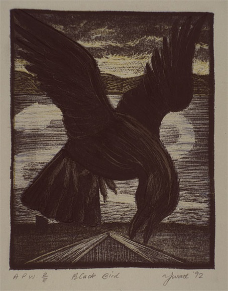 Artist: b'Watt, Yvette.' | Title: b'Black bird' | Date: 1992, February | Technique: b'lithograph, printed in colour, from multiple stones' Artist: b'Watt, Yvette.' | Title: b'Black bird' | Date: 1992, February | Technique: b'lithograph, printed in colour, from multiple stones'