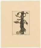 Artist: Blackman, Charles. | Title: Jack's beanstalk. | Date: (1977) | Technique: etching and aquatint, printed in black ink, from one plate