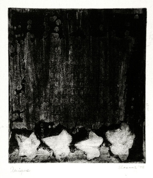 Artist: b'Shearer, Mitzi.' | Title: b'Variation on a theme' | Date: 1978 | Technique: b'etching, printed in black ink, from one  plate'