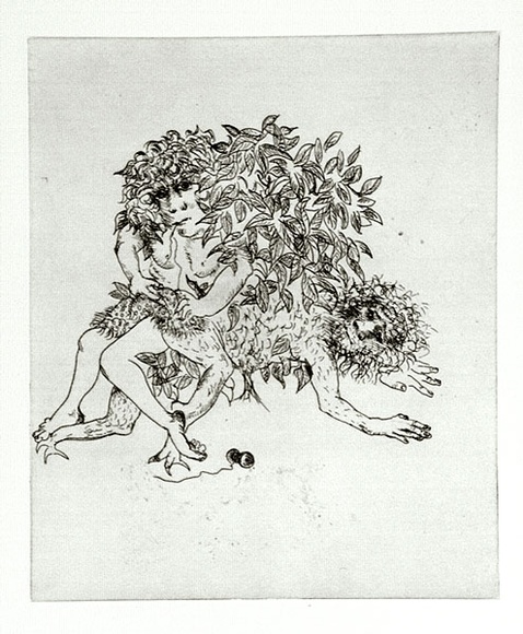 Artist: b'BOYD, Arthur' | Title: b'Story of a ruined man.' | Date: c.1970 | Technique: b'etching, printed in black ink, from one plate' | Copyright: b'Reproduced with permission of Bundanon Trust' Artist: b'BOYD, Arthur' | Title: b'Story of a ruined man.' | Date: c.1970 | Technique: b'etching, printed in black ink, from one plate' | Copyright: b'Reproduced with permission of Bundanon Trust'