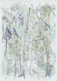 Artist: MEYER, Bill | Title: Holcombe Forest triptych | Date: 1988 | Technique: screenprint, printed in colour, from multiple stencils | Copyright: © Bill Meyer