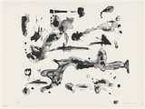Artist: Danaher, Suzanne. | Title: The paramecium | Date: 1992 | Technique: lithograph; printed in black ink, from one stone
