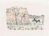Artist: Bradhurst, Jane. | Title: When the darter spreads his wings, Kimberley WA. | Date: 1997 | Technique: lithograph, printed in black ink, from one stone; hand-coloured in watercolour