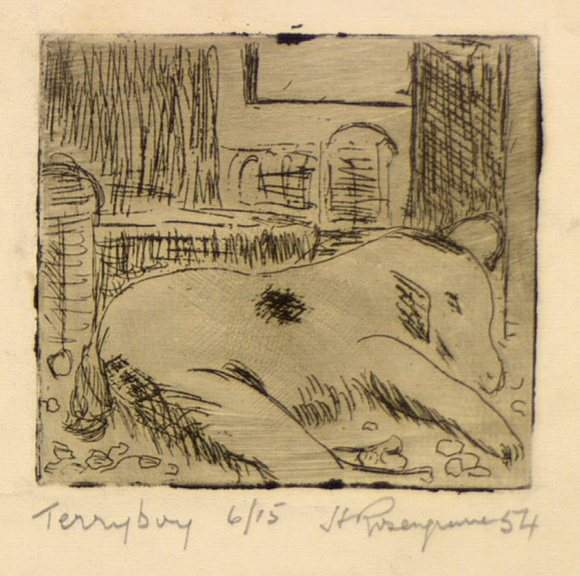 Artist: b'ROSENGRAVE, Harry' | Title: b'Terryboy' | Date: 1954 | Technique: b'etching, printed in black ink with plate-tone, from one plate' Artist: b'ROSENGRAVE, Harry' | Title: b'Terryboy' | Date: 1954 | Technique: b'etching, printed in black ink with plate-tone, from one plate'