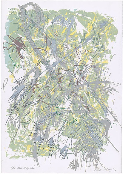 Artist: b'MEYER, Bill' | Title: b'Bush study silver' | Date: 1987 | Technique: b'screenprint, printed in colour, from multiple stencils' | Copyright: b'\xc2\xa9 Bill Meyer' Artist: b'MEYER, Bill' | Title: b'Bush study silver' | Date: 1987 | Technique: b'screenprint, printed in colour, from multiple stencils' | Copyright: b'\xc2\xa9 Bill Meyer'