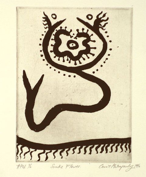 Artist: b'MITROPOULOS, Connie' | Title: b'Snake flower' | Date: 1996, July/August | Technique: b'sugar-lift etching, printed in black ink, from one plate' Artist: b'MITROPOULOS, Connie' | Title: b'Snake flower' | Date: 1996, July/August | Technique: b'sugar-lift etching, printed in black ink, from one plate'