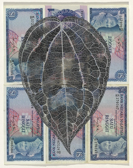 Artist: b'HALL, Fiona' | Title: b'Piper betel- Betel vine (Malaysian currency)' | Date: 2000 - 2002 | Technique: b'gouache' | Copyright: b'\xc2\xa9 Fiona Hall' Artist: b'HALL, Fiona' | Title: b'Piper betel- Betel vine (Malaysian currency)' | Date: 2000 - 2002 | Technique: b'gouache' | Copyright: b'\xc2\xa9 Fiona Hall'