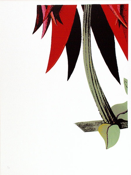 Artist: b'Newmarch, Ann.' | Title: b'Malu Karu (Sturt Desert Pea)' | Date: 1980 | Technique: b'screenprint, printed in colour, from multiple stencils' Artist: b'Newmarch, Ann.' | Title: b'Malu Karu (Sturt Desert Pea)' | Date: 1980 | Technique: b'screenprint, printed in colour, from multiple stencils'