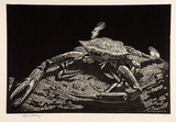 Artist: LINDSAY, Lionel | Title: The crab | Date: 1931 | Technique: wood-engraving, printed in black ink, from one block | Copyright: Courtesy of the National Library of Australia