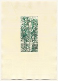 Artist: Dunn, Richard. | Title: 100 Blossoms: Five prisons IV. | Date: 1988 | Technique: etching and lift-ground aquatint and screenprint