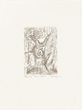 Artist: MEYER, Bill | Title: Forest survivor | Date: 1992 | Technique: etching, printed in brown-black charbonnel ink, from one plate | Copyright: © Bill Meyer