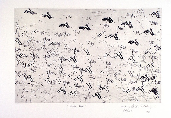 Artist: b'COLEING, Tony' | Title: b'Brain storm.' | Date: 1984 | Technique: b'etching and aquatint, printed in black ink, from one plate' Artist: b'COLEING, Tony' | Title: b'Brain storm.' | Date: 1984 | Technique: b'etching and aquatint, printed in black ink, from one plate'