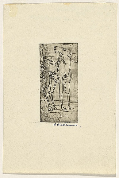 Artist: b'WILLIAMS, Fred' | Title: b'Dog.' | Date: 1955-56 | Technique: b'etching, foul biting, burnishing, printed in black ink with plate-tone, from one zinc plate' | Copyright: b'\xc2\xa9 Fred Williams Estate' Artist: b'WILLIAMS, Fred' | Title: b'Dog.' | Date: 1955-56 | Technique: b'etching, foul biting, burnishing, printed in black ink with plate-tone, from one zinc plate' | Copyright: b'\xc2\xa9 Fred Williams Estate'