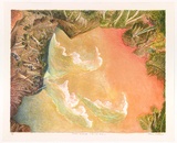 Artist: Robinson, William. | Title: Creation landscape - Water and Land I | Date: 1991 | Technique: lithographs, printed in colour, from multiple plates