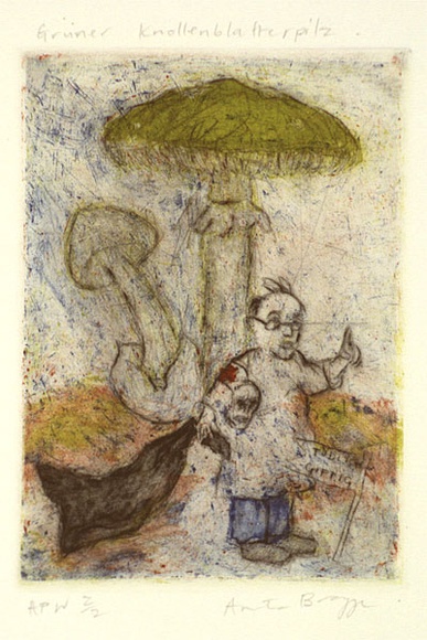 Artist: b'Bragge, Anita.' | Title: b'Gr\xc3\xbcner knollenblatterpilz' | Date: 1999, August | Technique: b'etching, drypoint and aquatint, printed in colour, from multiple plates' Artist: b'Bragge, Anita.' | Title: b'Gr\xc3\xbcner knollenblatterpilz' | Date: 1999, August | Technique: b'etching, drypoint and aquatint, printed in colour, from multiple plates'