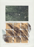 Artist: MEYER, Bill | Title: Bore puri ha etz [fruits of the tree] | Date: 1981 | Technique: screenprint, printed in colour, from seven stencils (indirect emulsion film, hand cut stencil film, acetate/charcoal, photo images) | Copyright: © Bill Meyer