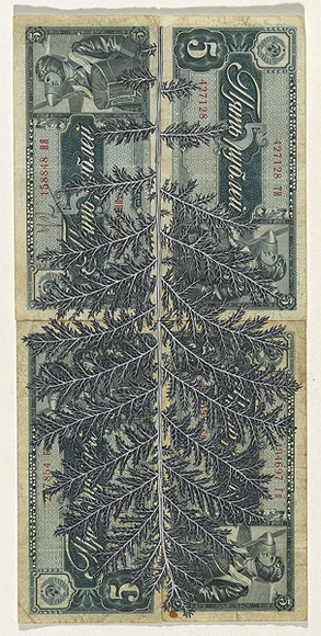 Artist: b'HALL, Fiona' | Title: b'Tanacetum vulgare - Tansy (Russian currency)' | Date: 2000 - 2002 | Technique: b'gouache' | Copyright: b'\xc2\xa9 Fiona Hall' Artist: b'HALL, Fiona' | Title: b'Tanacetum vulgare - Tansy (Russian currency)' | Date: 2000 - 2002 | Technique: b'gouache' | Copyright: b'\xc2\xa9 Fiona Hall'