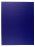 Artist: Donaldson, A.D.S. | Title: The purples. | Date: 1992 | Technique: screenprint, printed in purple ink, from one stencil