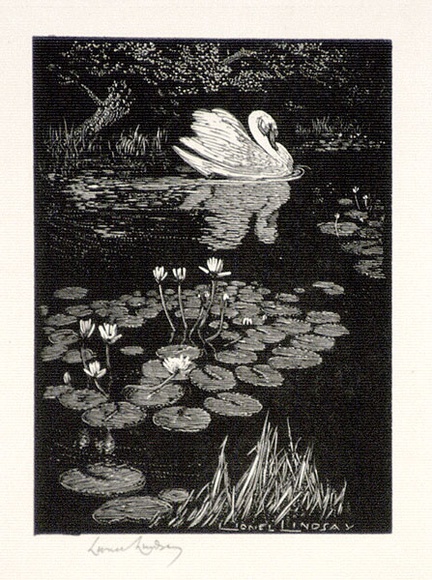 Artist: b'LINDSAY, Lionel' | Title: b'The swan' | Date: 1924 | Technique: b'wood-engraving, printed in black ink, from one block' | Copyright: b'Courtesy of the National Library of Australia' Artist: b'LINDSAY, Lionel' | Title: b'The swan' | Date: 1924 | Technique: b'wood-engraving, printed in black ink, from one block' | Copyright: b'Courtesy of the National Library of Australia'