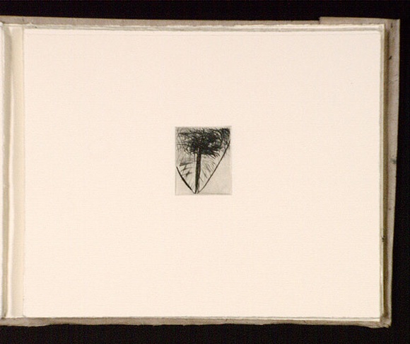 Artist: b'Mann, Gillian.' | Title: b'(Triangle within a rectangle).' | Date: 1981 | Technique: b'etching, printed in black ink, from one plate' Artist: b'Mann, Gillian.' | Title: b'(Triangle within a rectangle).' | Date: 1981 | Technique: b'etching, printed in black ink, from one plate'