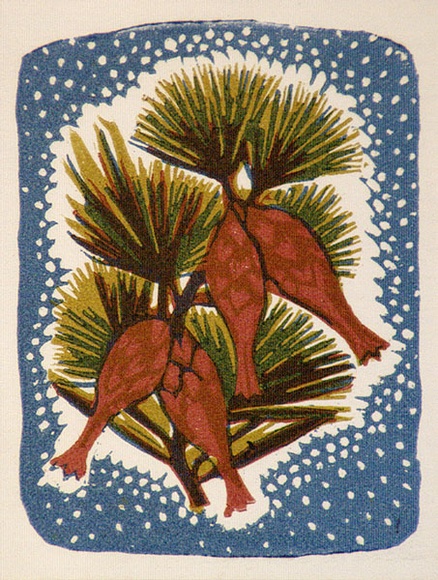 Artist: b'OGILVIE, Helen' | Title: b'Greeting card: Astraloma' | Technique: b'linocut, printed in colour, from multiple blocks' Artist: b'OGILVIE, Helen' | Title: b'Greeting card: Astraloma' | Technique: b'linocut, printed in colour, from multiple blocks'