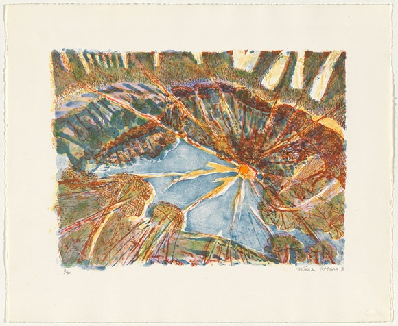 Artist: b'Robinson, William.' | Title: b'Sunshine print' | Date: 1990-92 | Technique: b'lithograph, printed in colour, from multiple plates' Artist: b'Robinson, William.' | Title: b'Sunshine print' | Date: 1990-92 | Technique: b'lithograph, printed in colour, from multiple plates'