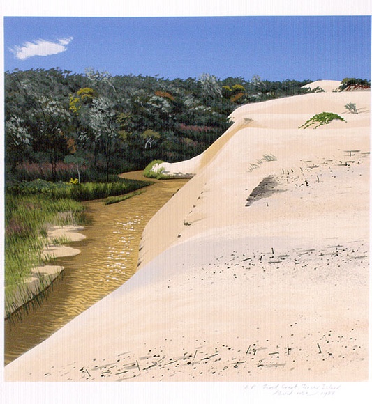 Artist: b'Rose, David.' | Title: b'First Creek Fraser Island' | Date: 1988 | Technique: b'screenprint, printed in colour, from multiple stencils' Artist: b'Rose, David.' | Title: b'First Creek Fraser Island' | Date: 1988 | Technique: b'screenprint, printed in colour, from multiple stencils'