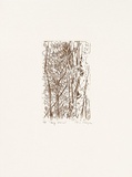 Artist: MEYER, Bill | Title: Dry forest | Date: 1992 | Technique: etching, printed in brown ink, from one zinc plate | Copyright: © Bill Meyer