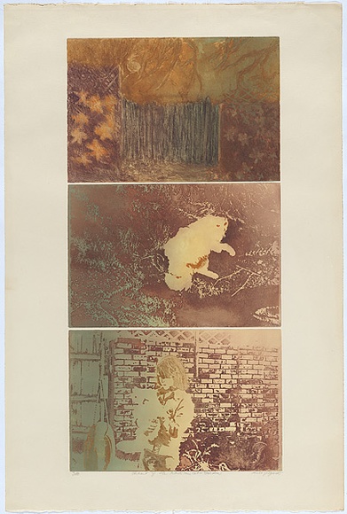 Artist: Hjorth, Noela. | Title: The portrait of the artist's son, cat and garden. | Date: 1972 | Technique: photo-etching, printed in colour, from multiple plates