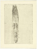 Artist: PARR, Mike | Title: Map 1 | Date: 1987 | Technique: etching and foul biting, printed in black ink, from one copper plate