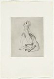 Artist: BOYD, Arthur | Title: Colour blind. | Date: 1970 | Technique: etching, printed in black ink, from one plate | Copyright: Reproduced with permission of Bundanon Trust