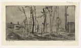 Artist: WILLIAMS, Fred | Title: Tree pruning | Date: 1955-56 | Technique: etching and foul biting, printed in black ink with plate-tone, from one brass plate | Copyright: © Fred Williams Estate