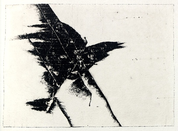 Artist: b'Roberts, Neil.' | Title: b'Eruptions 3' | Date: 1991 | Technique: b'pigment-transfer, printed in brown ink, from one bitumen paper plate' Artist: b'Roberts, Neil.' | Title: b'Eruptions 3' | Date: 1991 | Technique: b'pigment-transfer, printed in brown ink, from one bitumen paper plate'