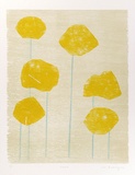 Artist: Buckley, Sue. | Title: Acacia. | Date: 1976 | Technique: woodcut, printed in colour, from multiple blocks | Copyright: This work appears on screen courtesy of Sue Buckley and her sister Jean Hanrahan