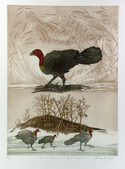 Artist: b'GRIFFITH, Pamela' | Title: b'The Brush Turkey building and egg incubating mound' | Date: 1989 | Technique: b'hard ground, aquatint, sugarlift, printed from two copper plates; additional hand-tinting' | Copyright: b'\xc2\xa9 Pamela Griffith' Artist: b'GRIFFITH, Pamela' | Title: b'The Brush Turkey building and egg incubating mound' | Date: 1989 | Technique: b'hard ground, aquatint, sugarlift, printed from two copper plates; additional hand-tinting' | Copyright: b'\xc2\xa9 Pamela Griffith'
