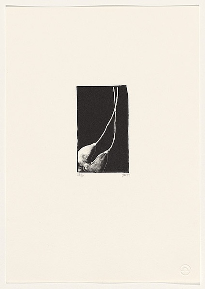 Artist: Firouz-Abadi, Jessica. | Title: not titled. | Date: 1992 | Technique: lithograph, printed in black ink, from one stone,