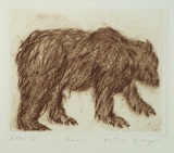 Artist: Bragge, Anita. | Title: Bear | Date: 1998 | Technique: drypoint, printed in sepia ink from one plate