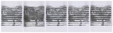 Artist: b'Azlan.' | Title: b'The West is best II.' | Date: 2003 | Technique: b'stencil, printed in black ink, from one stencil'