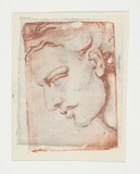 Artist: Sutherland, Jean. | Title: Head