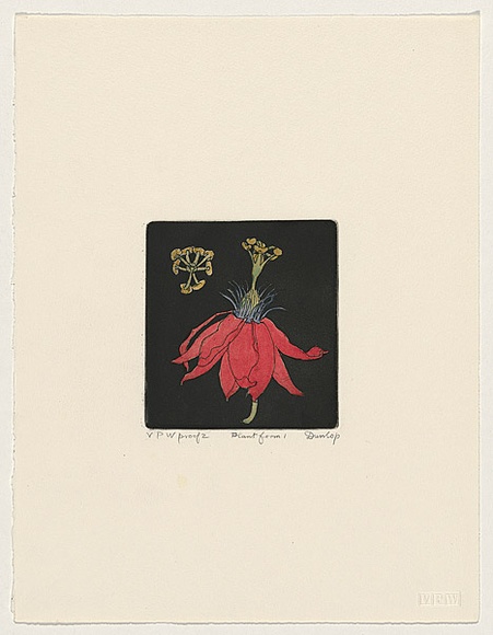 Artist: Dunlop, Brian. | Title: Plant form I | Date: 1989, January | Technique: etching and aquatint, printed in black ink, from one plate; handcoloured