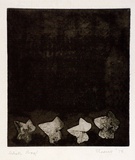 Artist: b'Shearer, Mitzi.' | Title: b'Variation on a theme (II)' | Date: 1978 | Technique: b'etching, printed in brown/black ink, from one  plate'