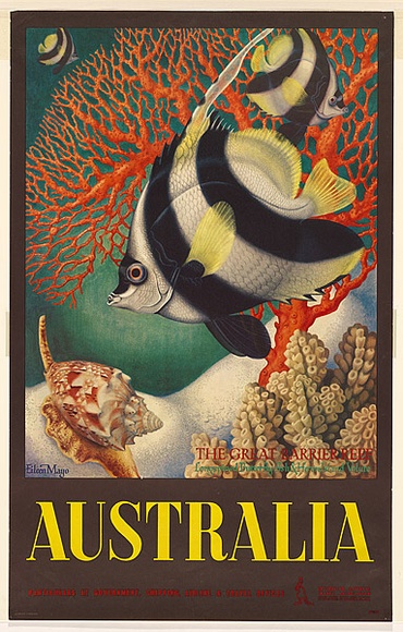 Artist: b'Mayo, Eileen.' | Title: b'Australia (The Great Barrier Reef)' | Date: (1959) | Technique: b'lithograph, printed in colour, from multiple stones' Artist: b'Mayo, Eileen.' | Title: b'Australia (The Great Barrier Reef)' | Date: (1959) | Technique: b'lithograph, printed in colour, from multiple stones'